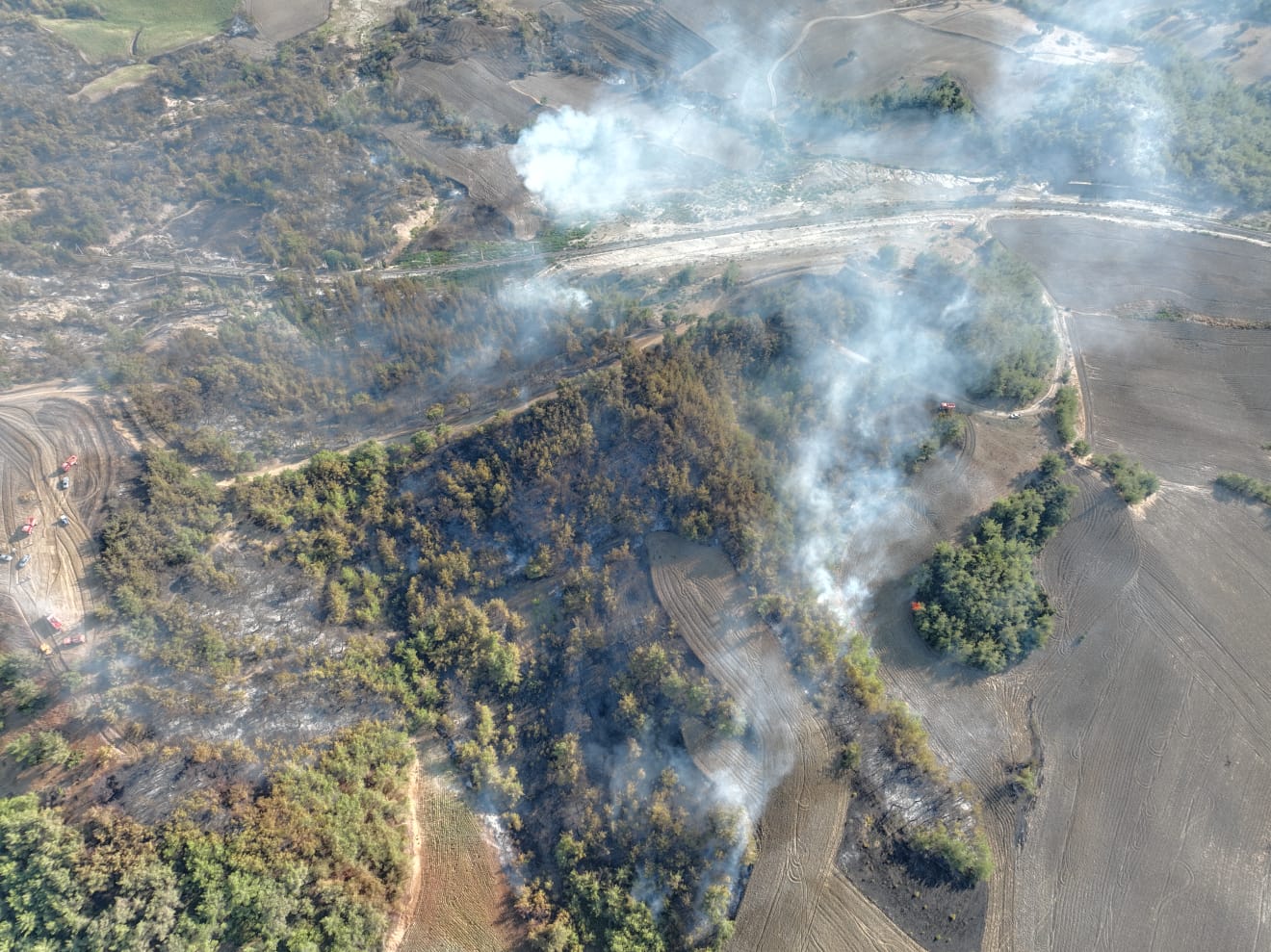 Tarsus ‘ta Orman Yangını Mersin Orman Bölge Müdürlüğüne