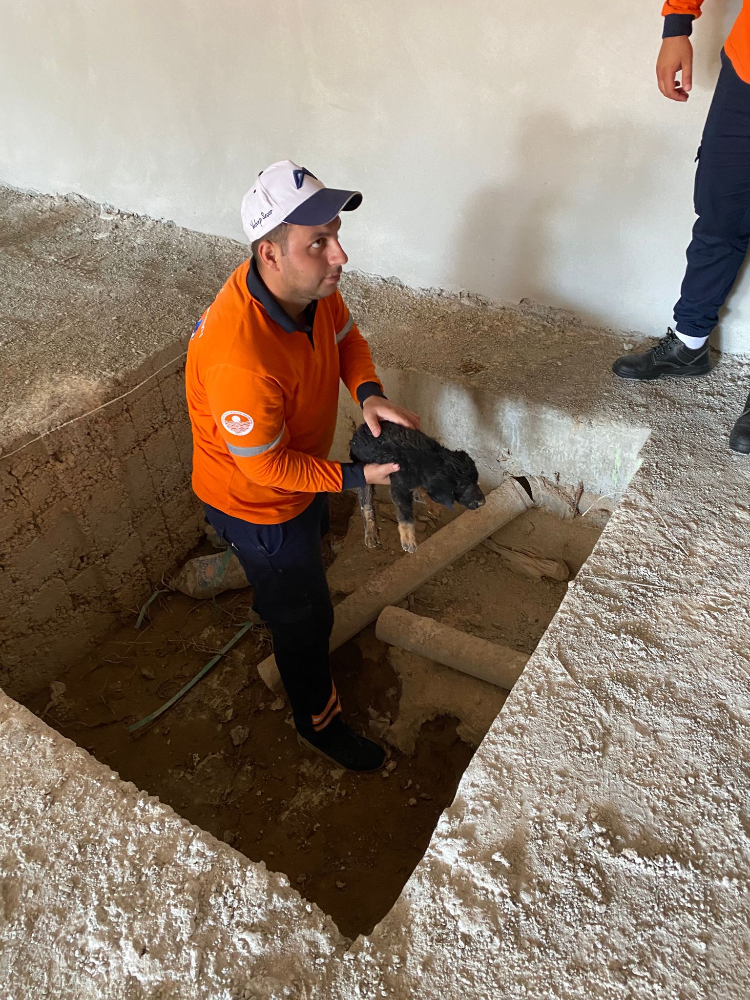 MERSİN BÜYÜKŞEHİR’DEN CAN DOSTA YARDIM ELİ Mersin Büyükşehir Belediyesi Çevre