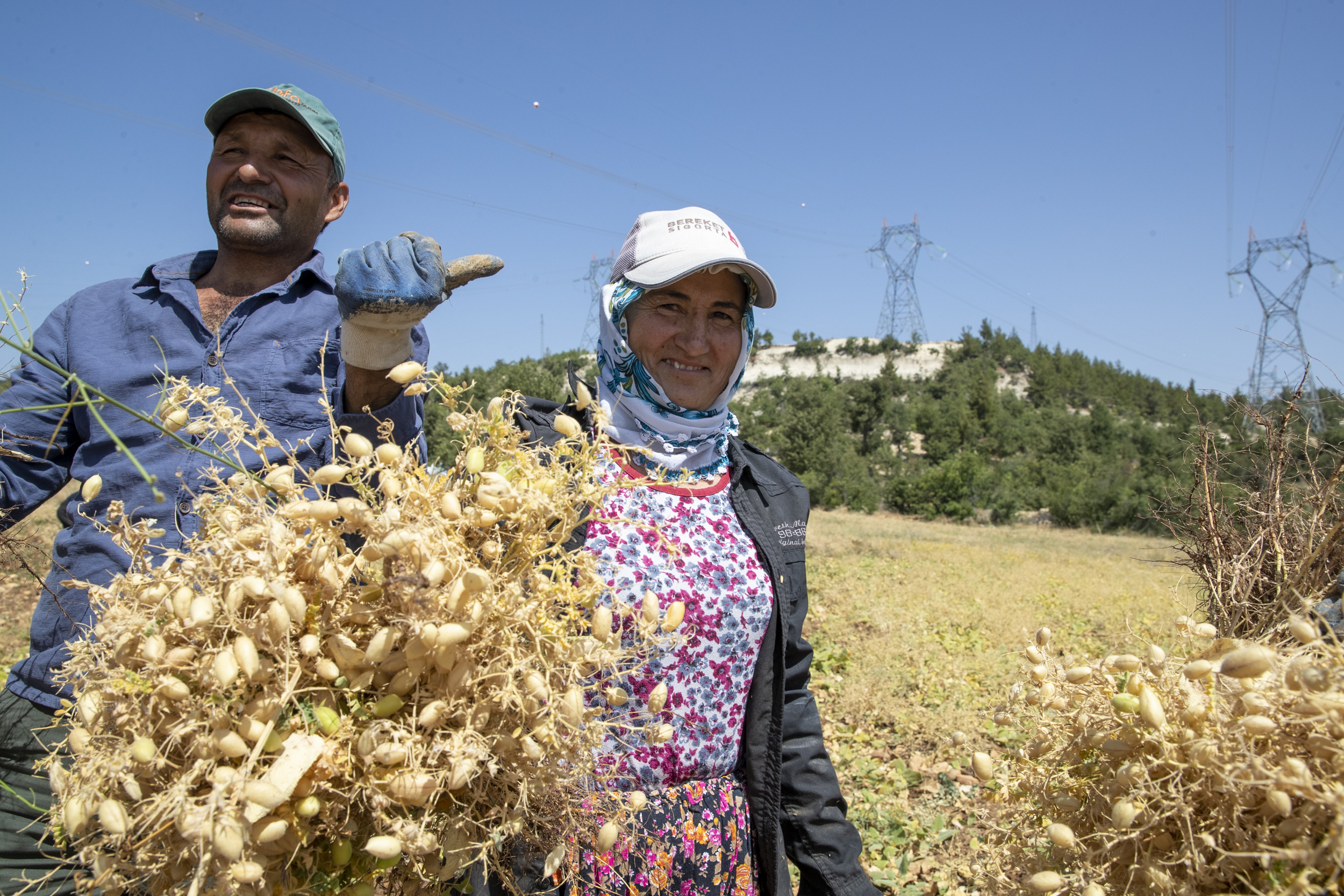 Mersin’in bereketli toprakları üzerinde