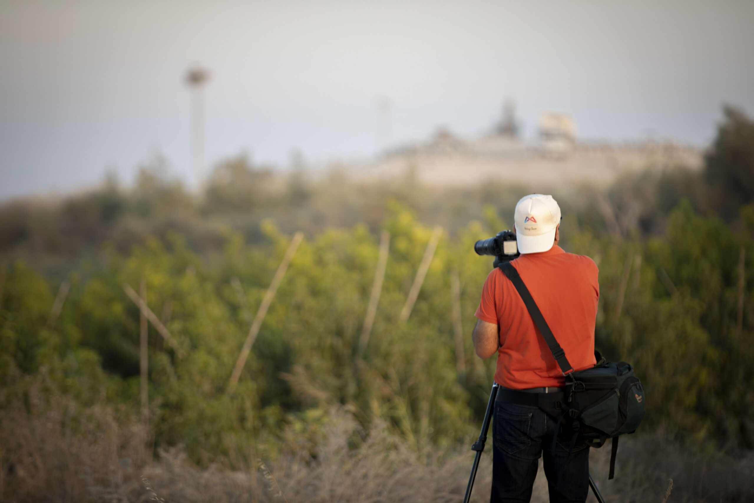 Mersin Büyükşehir Belediyesi, doğa