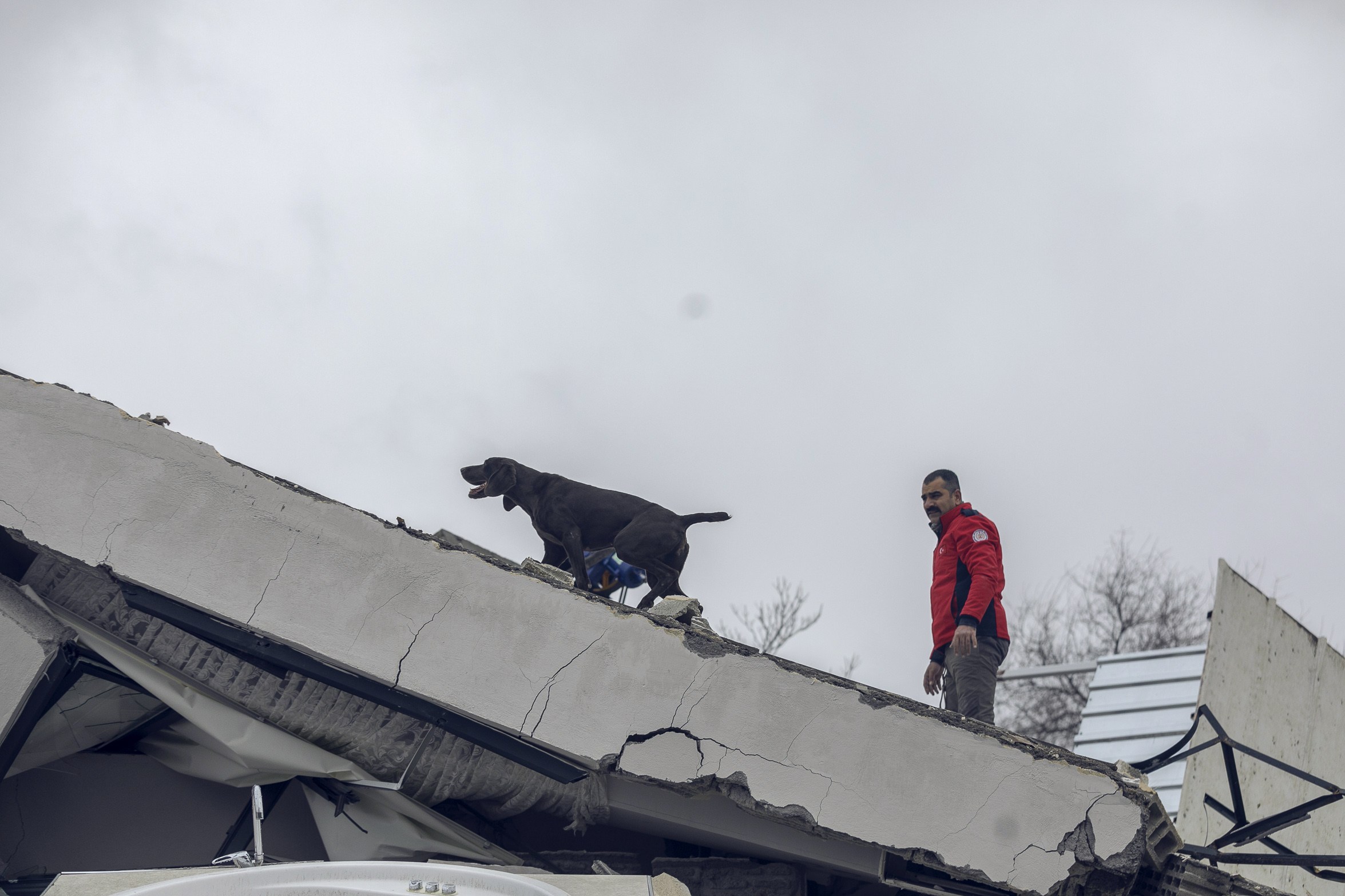 Mersin Büyükşehir Belediyesi İtfaiye