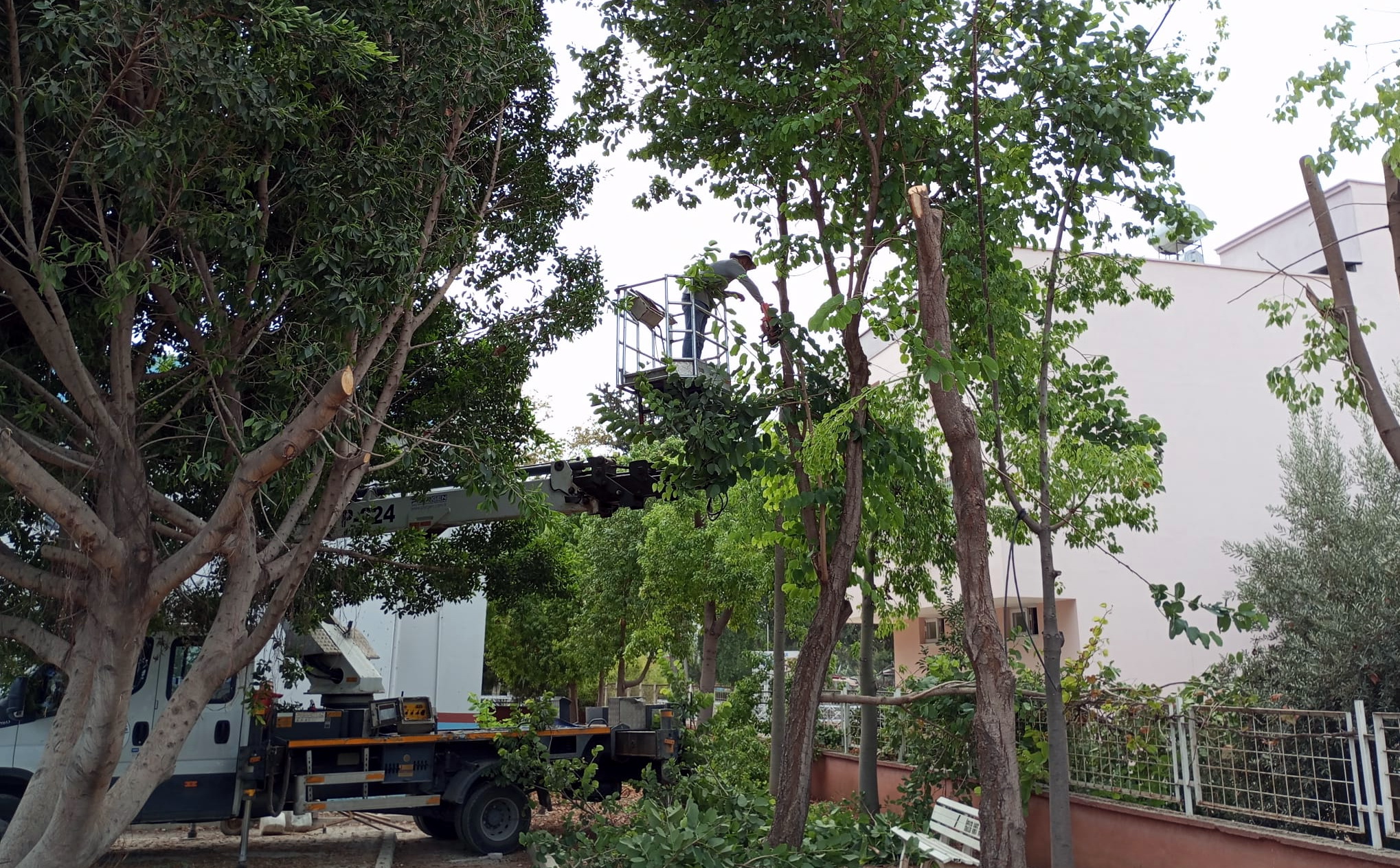 Akdeniz Belediyesi, ilçe sınırlarında