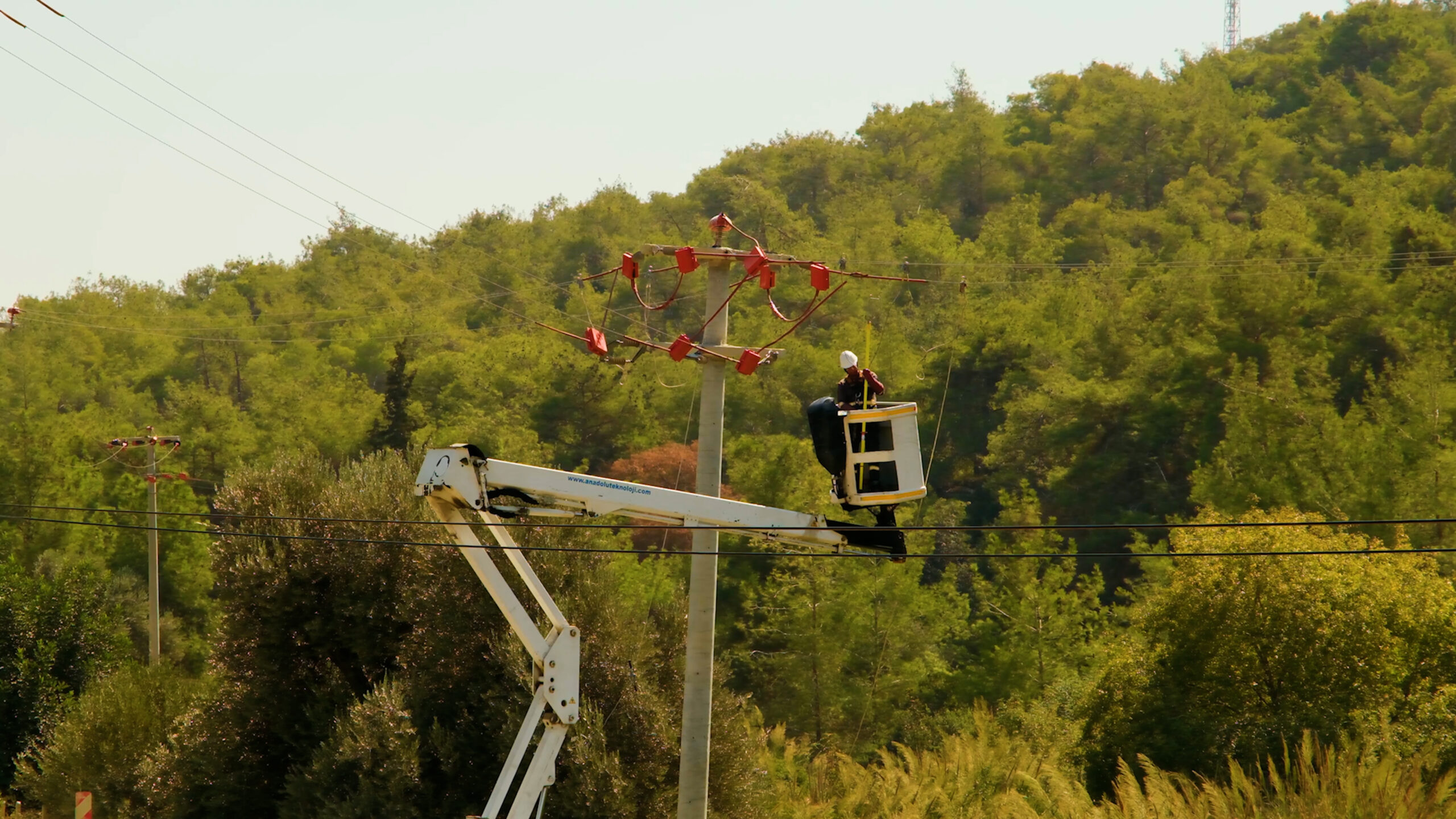 Toroslar EDAŞ göçmen kuşları yalıtımlı hatlarında ağırladı Başta göçmen kuşlar olmak