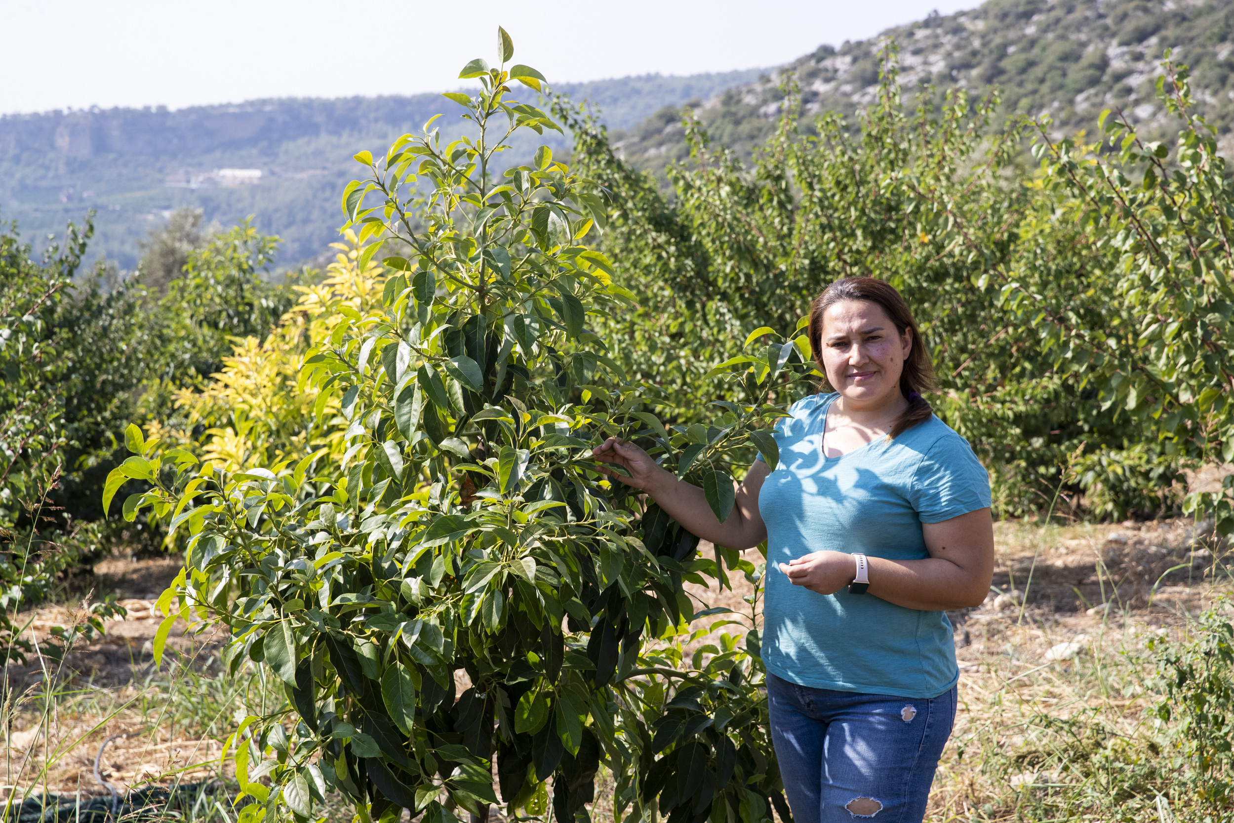 Türkiye’deki ekonomik kalkınmanın en