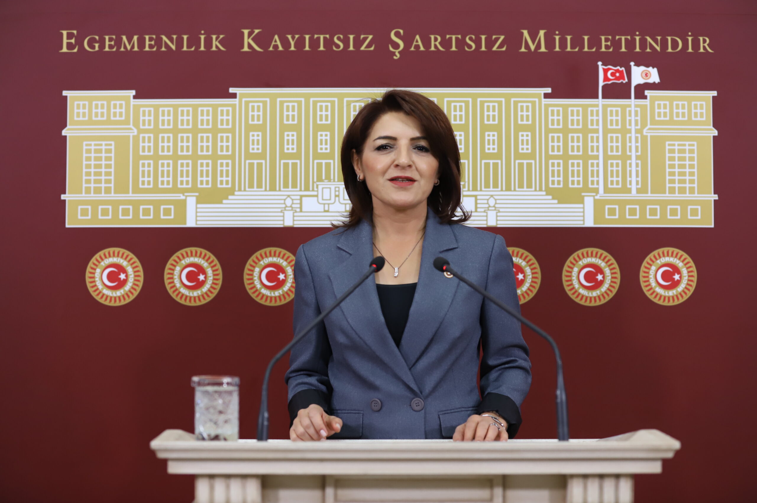 CHP Mersin Milletvekili Gülcan