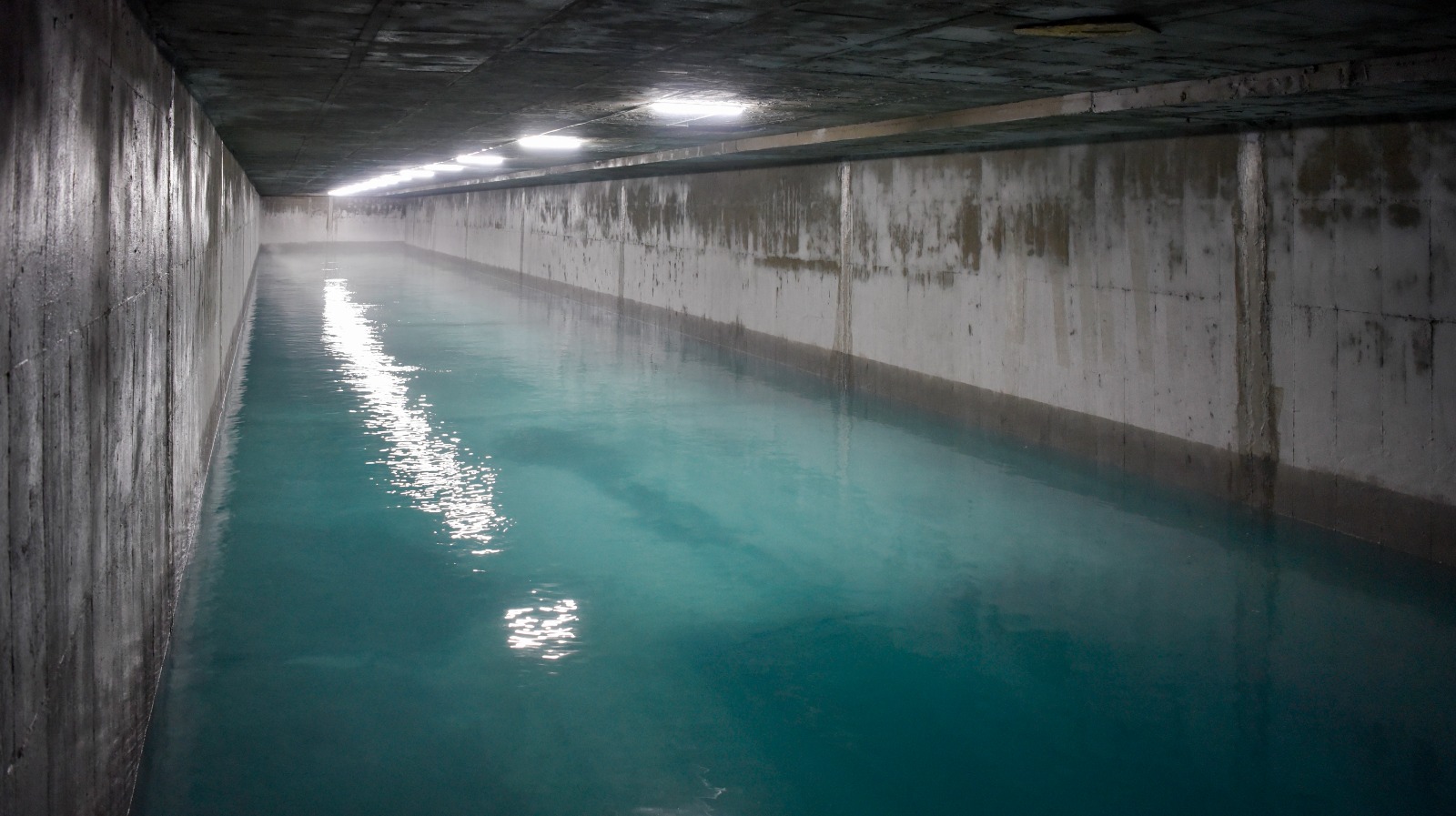 Mersin Büyükşehir Belediyesi Mersin