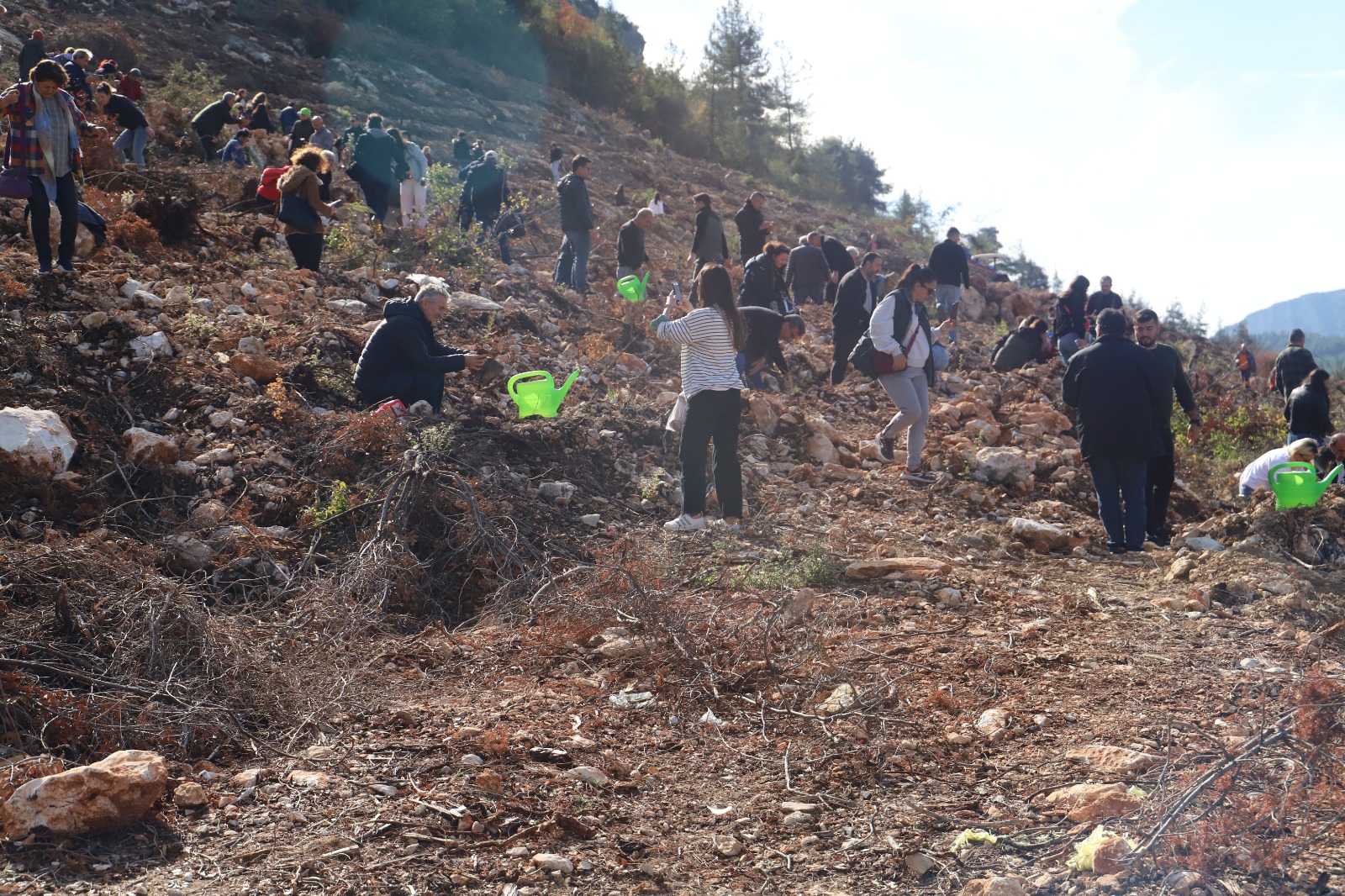Tarsus’ta 24 Kasım Öğretmenler Günü Anısına Fidan Dikildi Mersin Orman Bölge Müdürlüğümüze