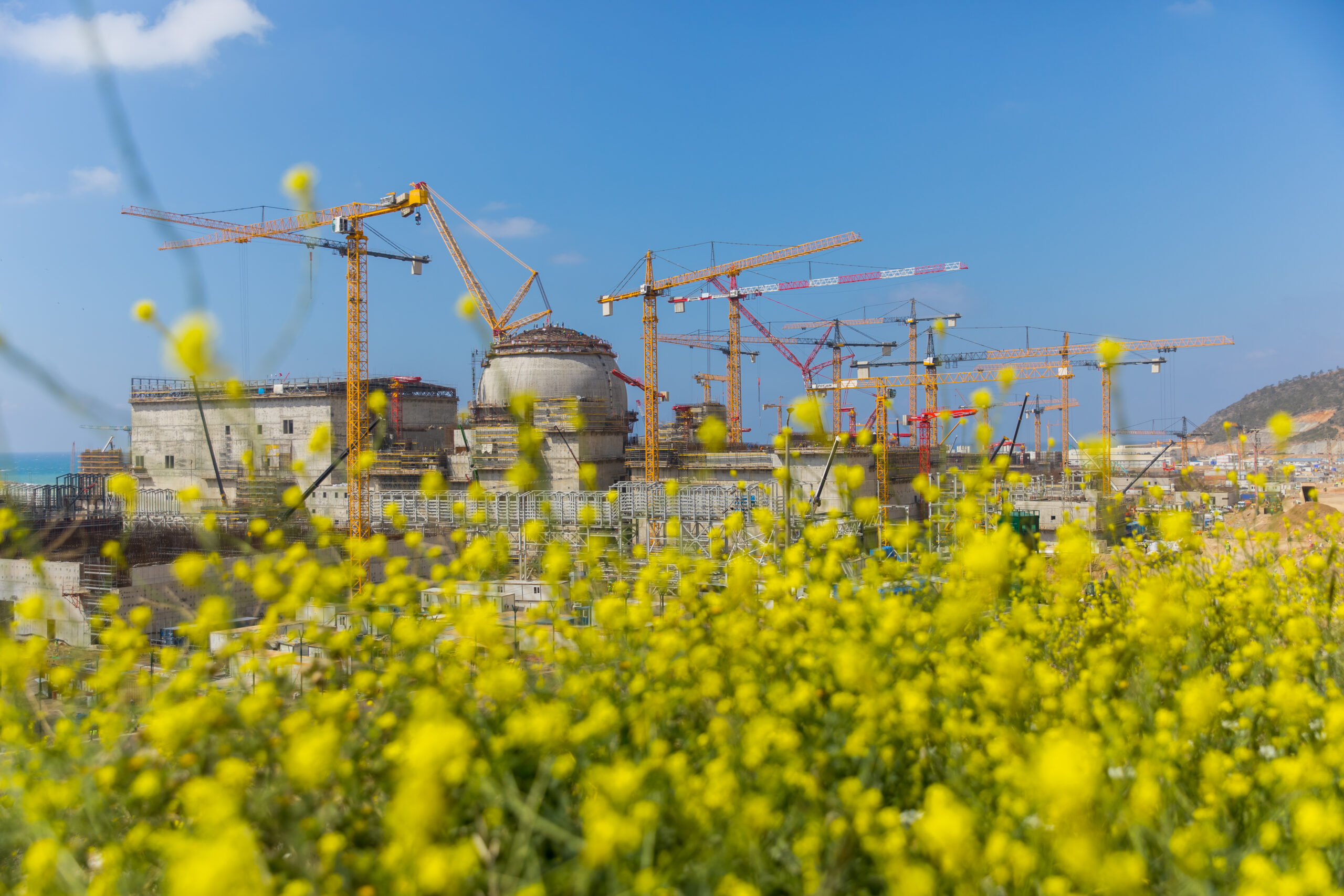 Nükleer Düzenleme Kurumu (NDK),