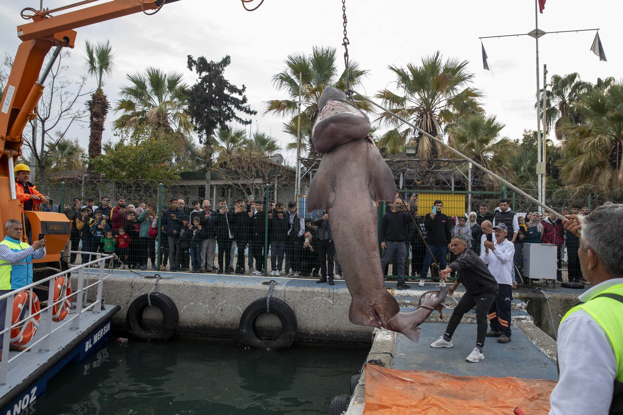 Mersin’de karaya vuran cam