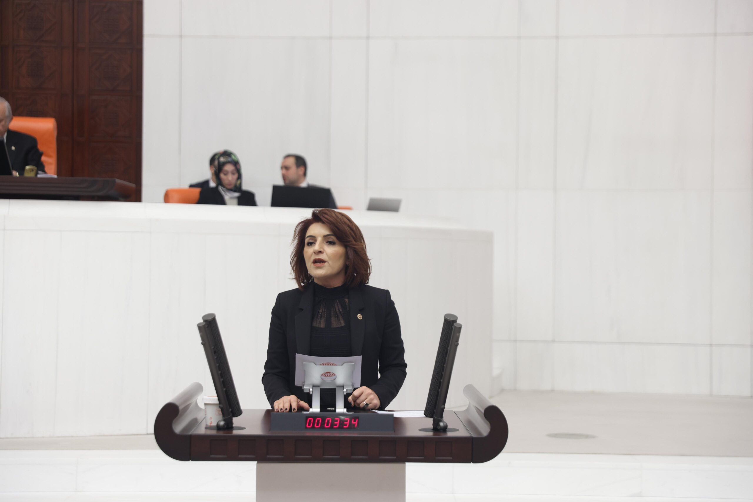 CHP Mersin Milletvekili Gülcan