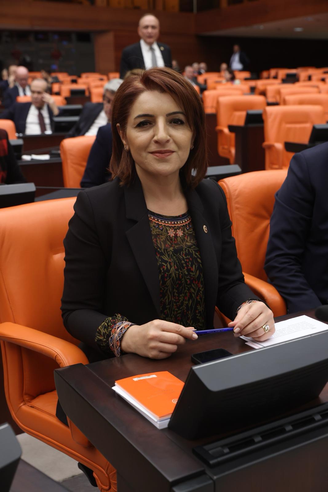 “BU MİLLET AFFETMEYECEK” CHP Mersin Milletvekili Gülcan