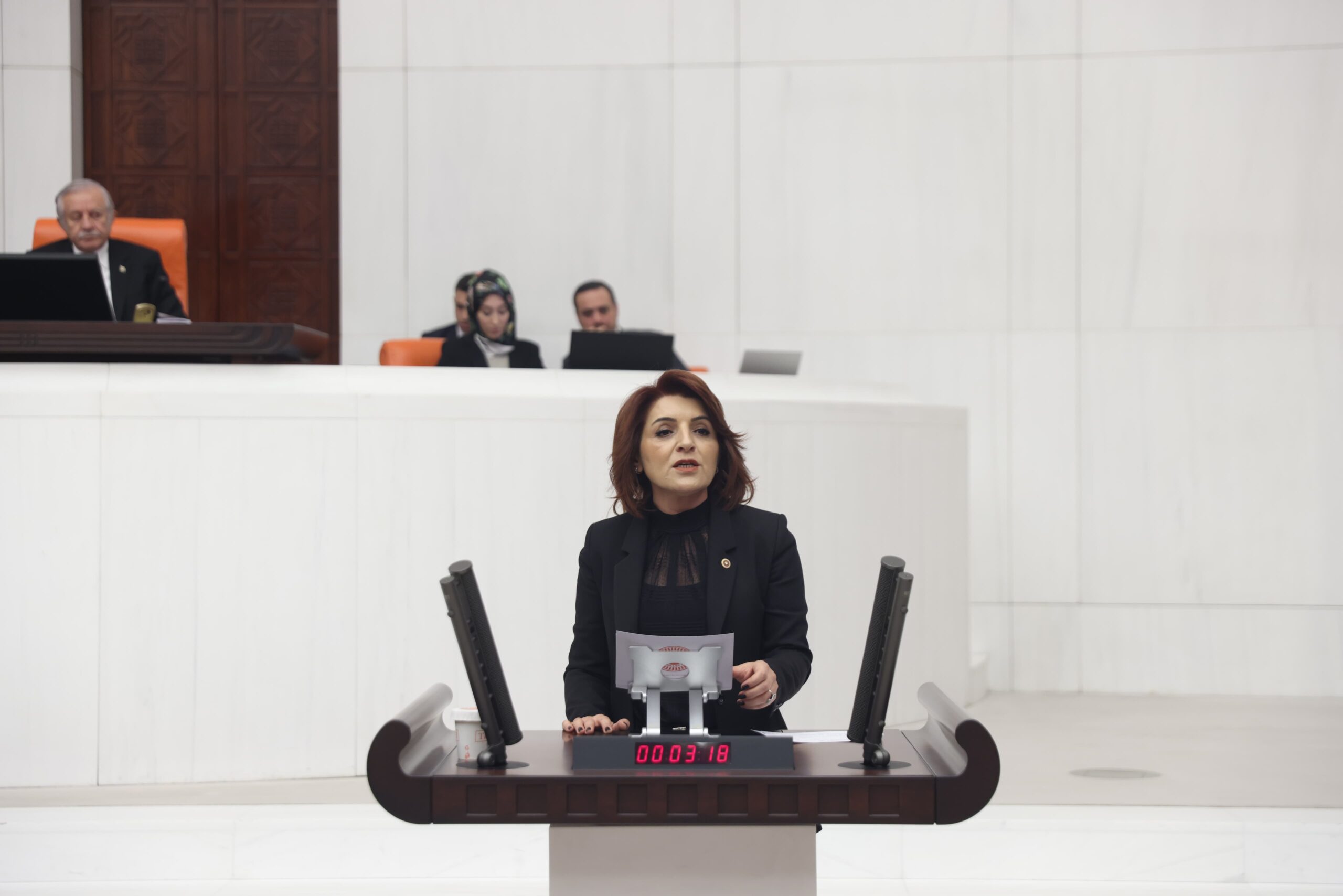 CHP Mersin Milletvekili Gülcan