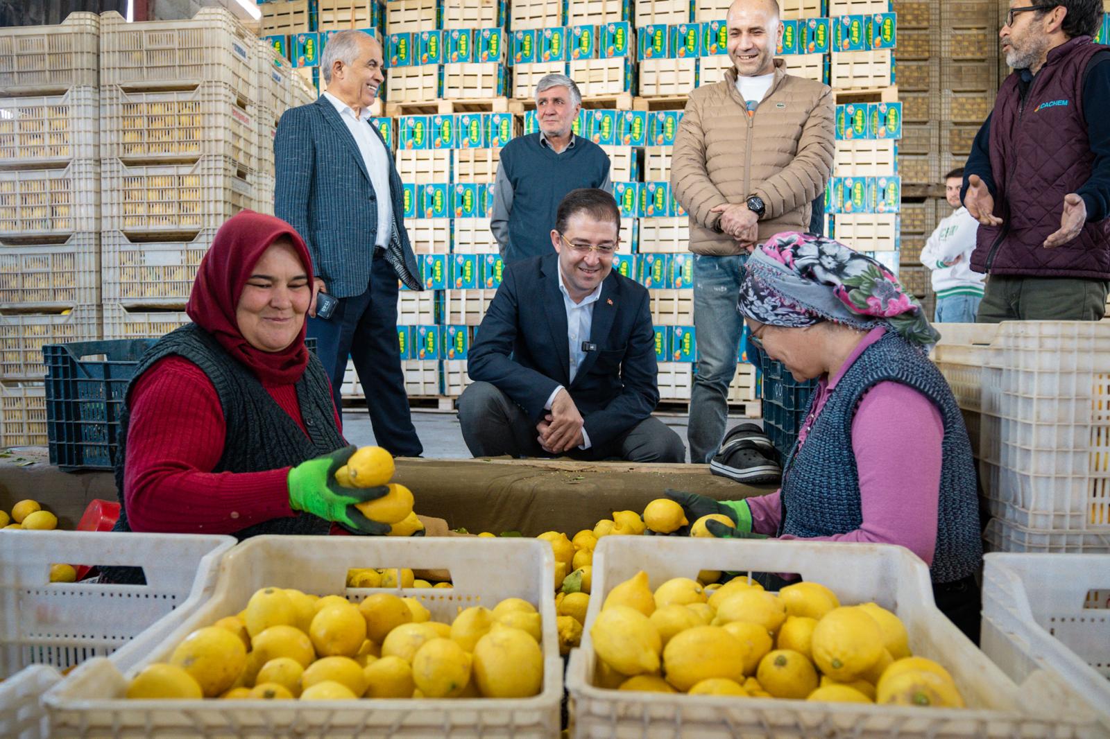 Cumhur İttifakı Mersin Büyükşehir