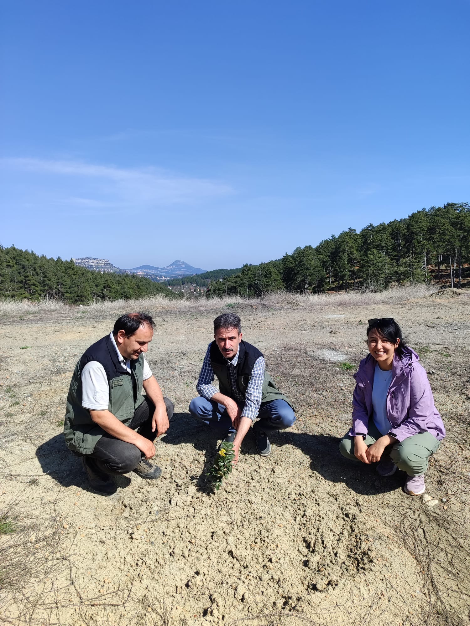 Mersin Orman Bölge Müdürlüğü