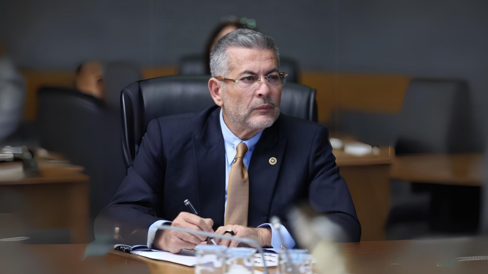 Milliyetçi Hareket Partisi Mersin