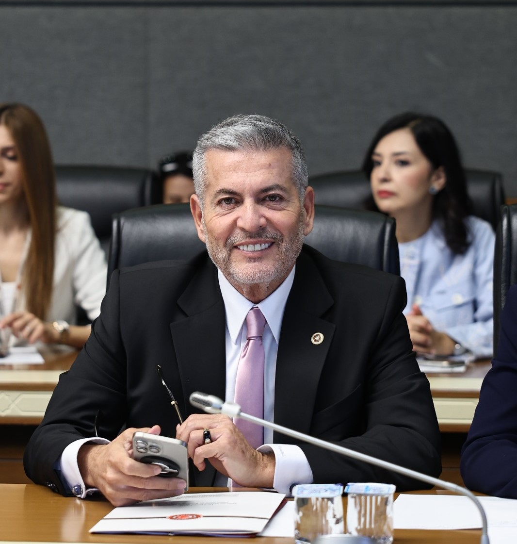 Milliyetçi Hareket Partisi Mersin