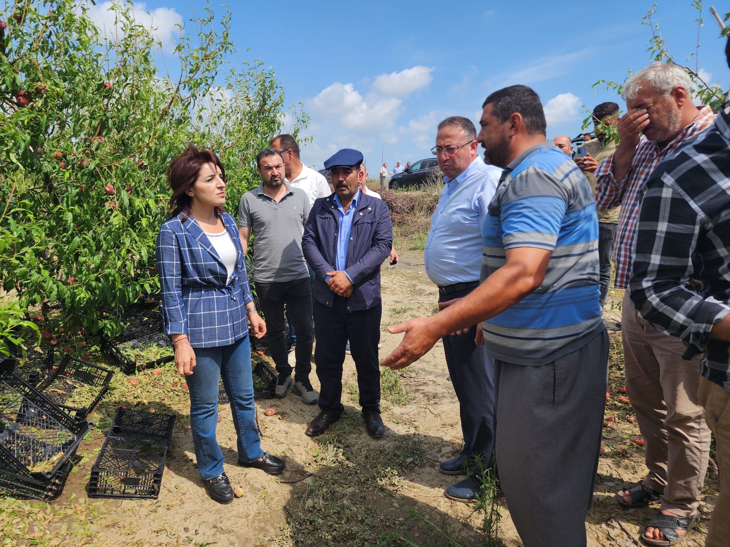 CHP Mersin Milletvekili Gülcan