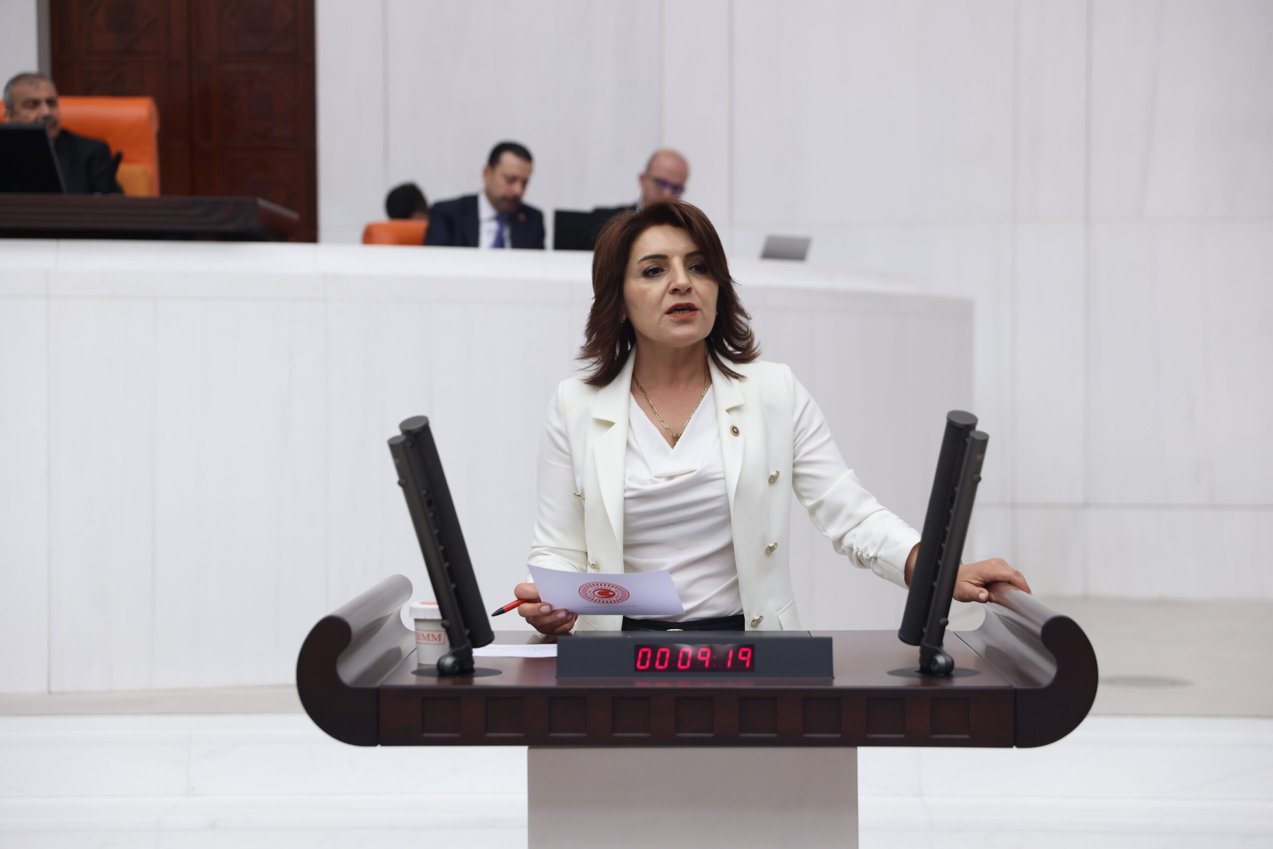 Mersin Milletvekili Gülcan Kış,