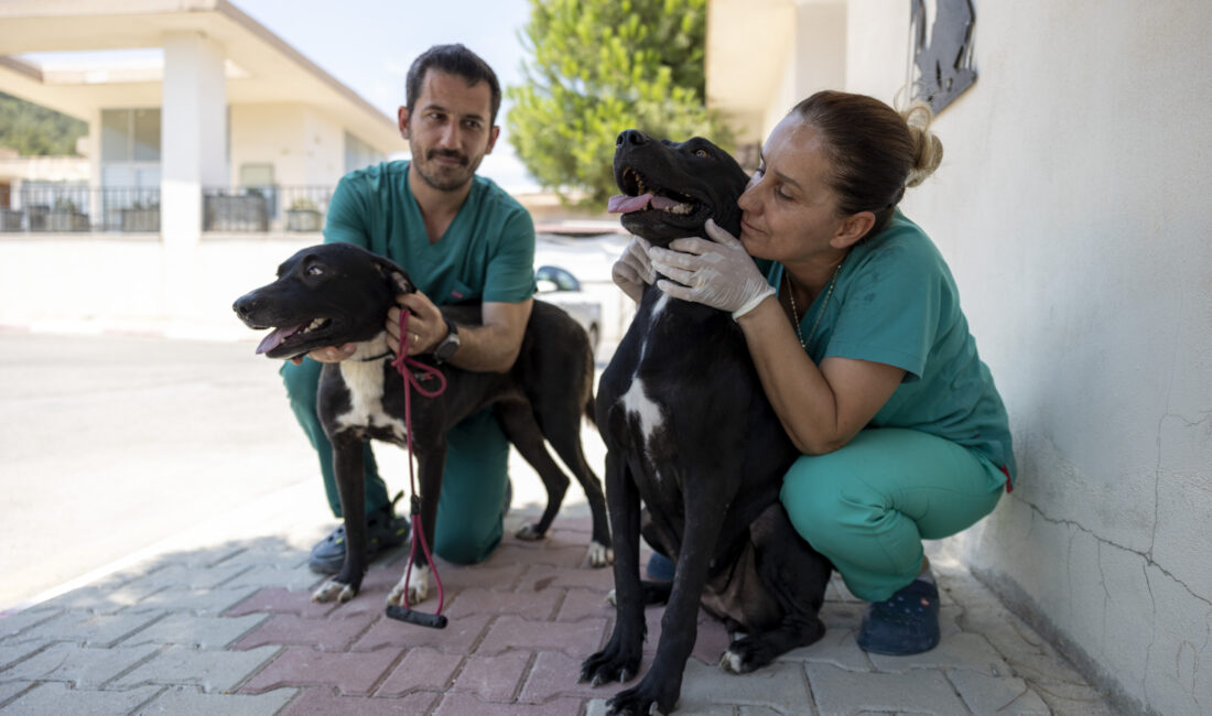 Mersin Büyükşehir Belediyesi Tarımsal