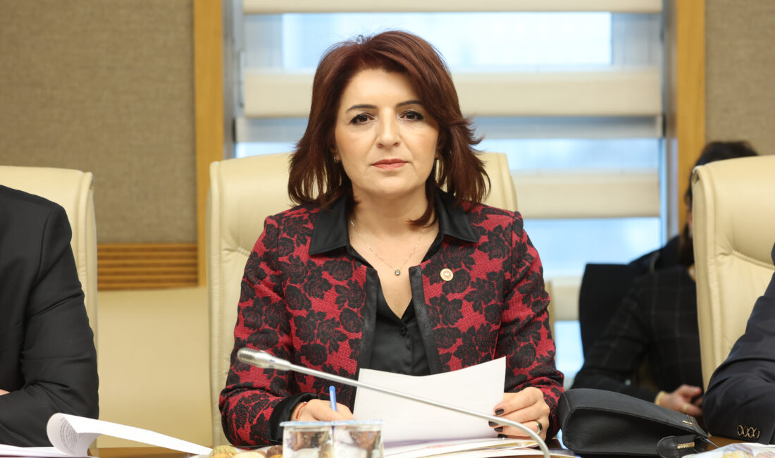 CHP Mersin Milletvekili Gülcan