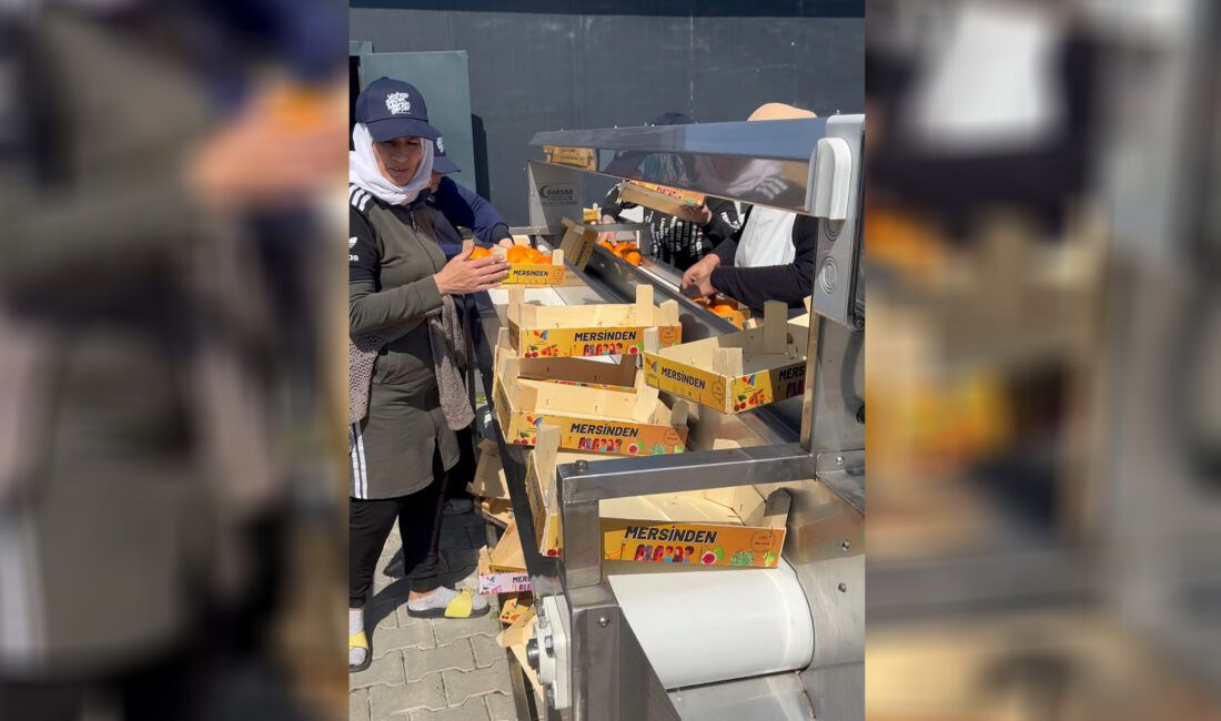 Mersinden Kadın Kooperatifi; Mersin’e,