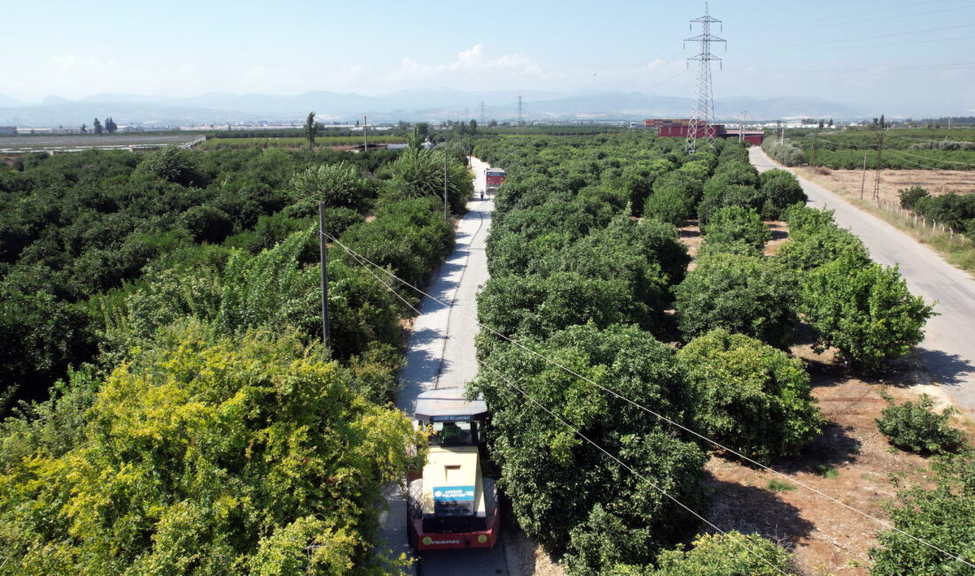 Akdeniz Belediyesi, tarımsal üretimin