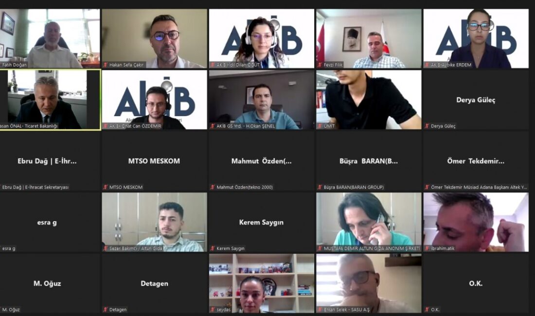 Ticaret Bakanlığı himayesi, Türkiye