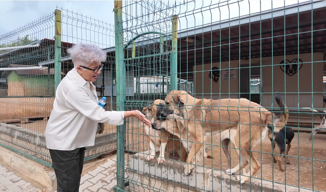 Mersin Büyükşehir Belediyesi Tarımsal