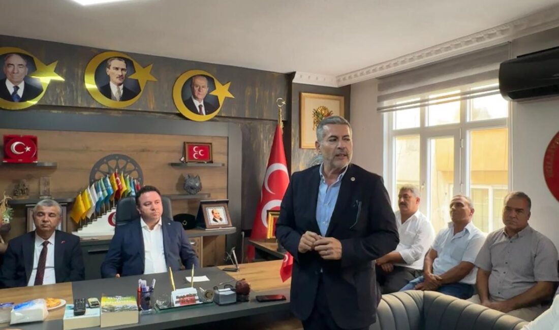 Milliyetçi Hareket Partisi Mersin