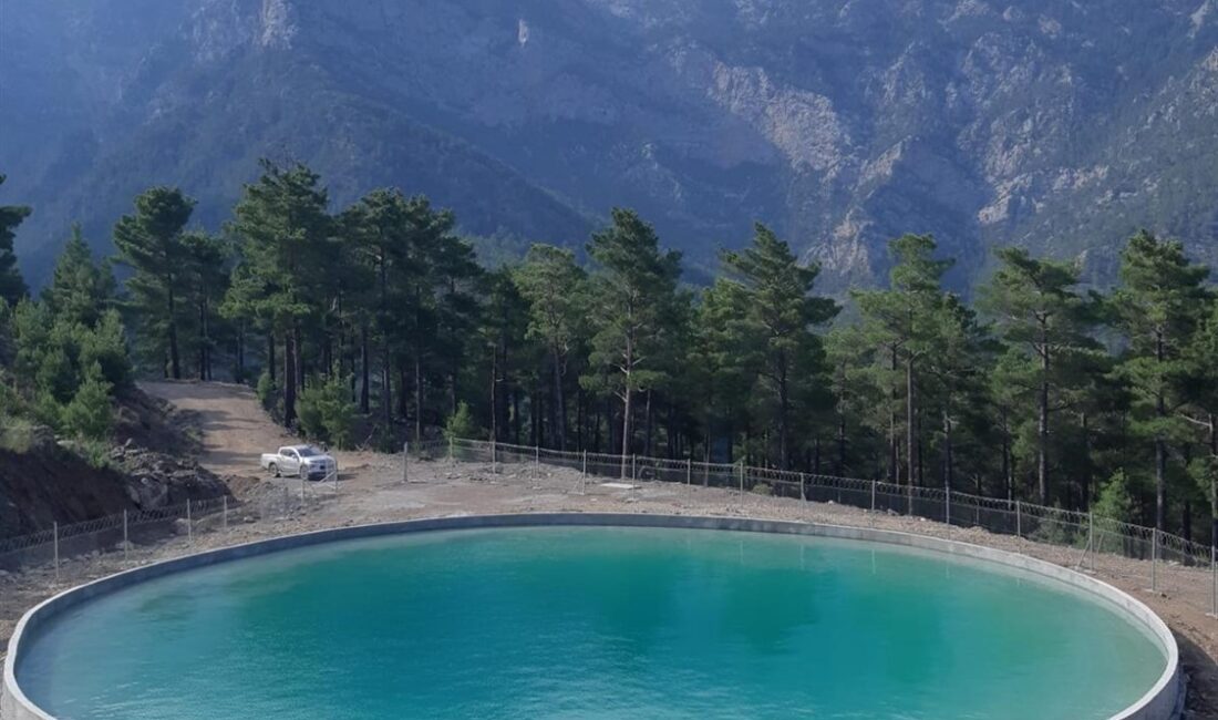 Mersin Orman Bölge Müdürlüğümüz