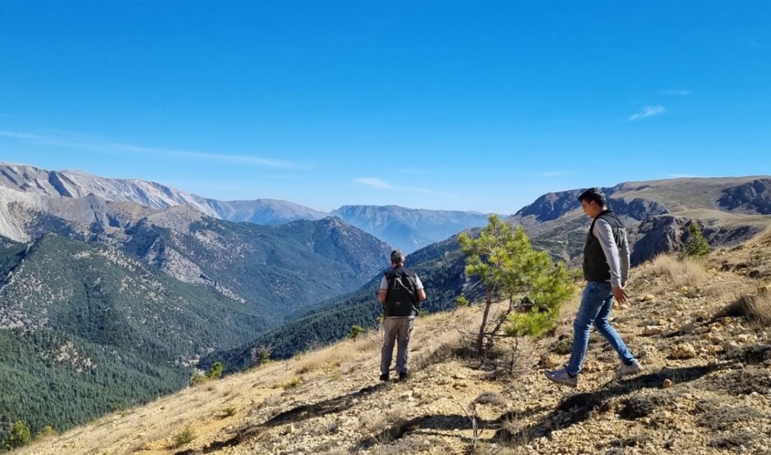 &nbsp;Orman Bölge Müdürümüz Rifat