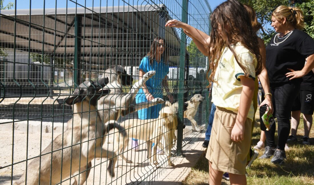 Yenişehir Belediyesi Mehmet Sadık