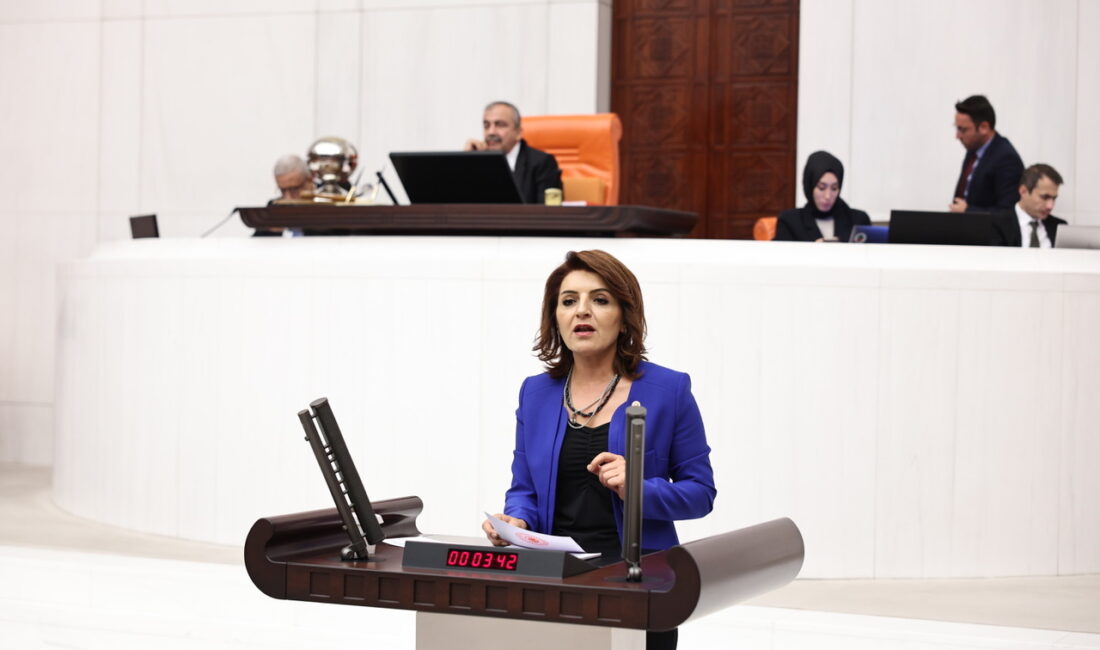 Cumhuriyet Halk Partisi (CHP)