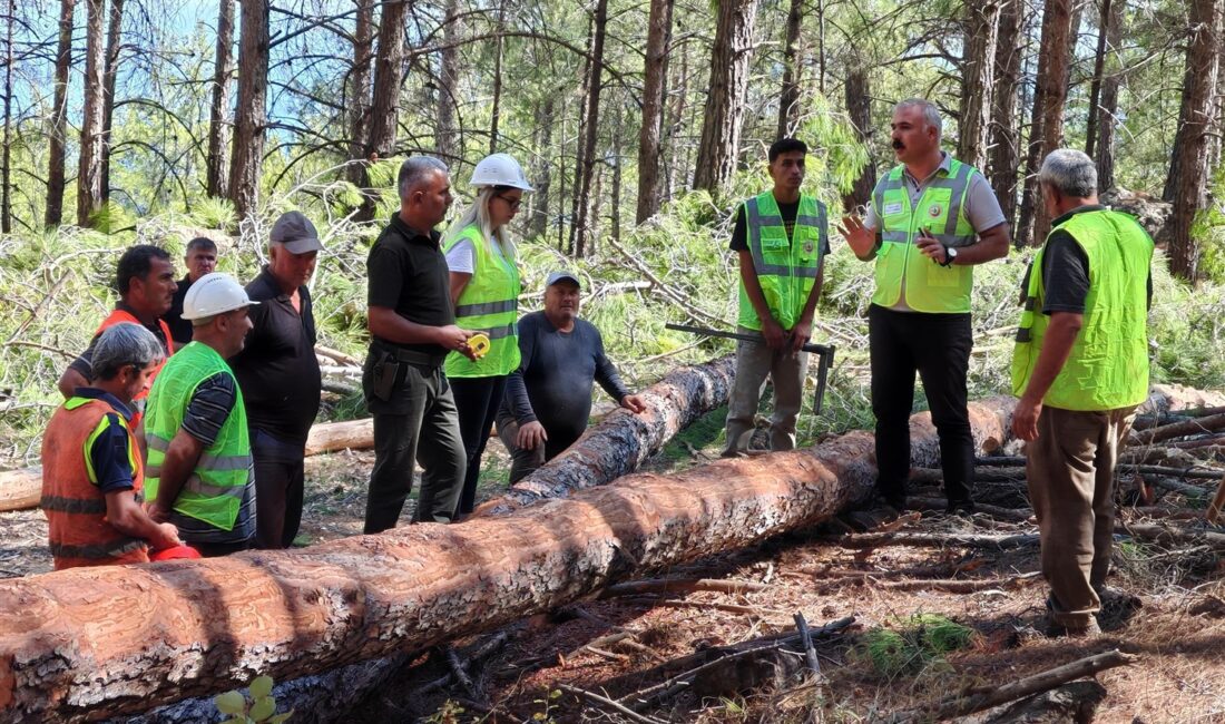 Mersin Orman Bölge Müdürlüğümüze