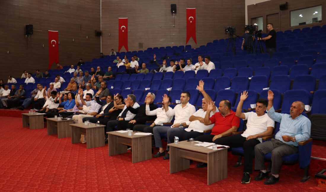 Toroslar Belediye Meclisi, üniversite