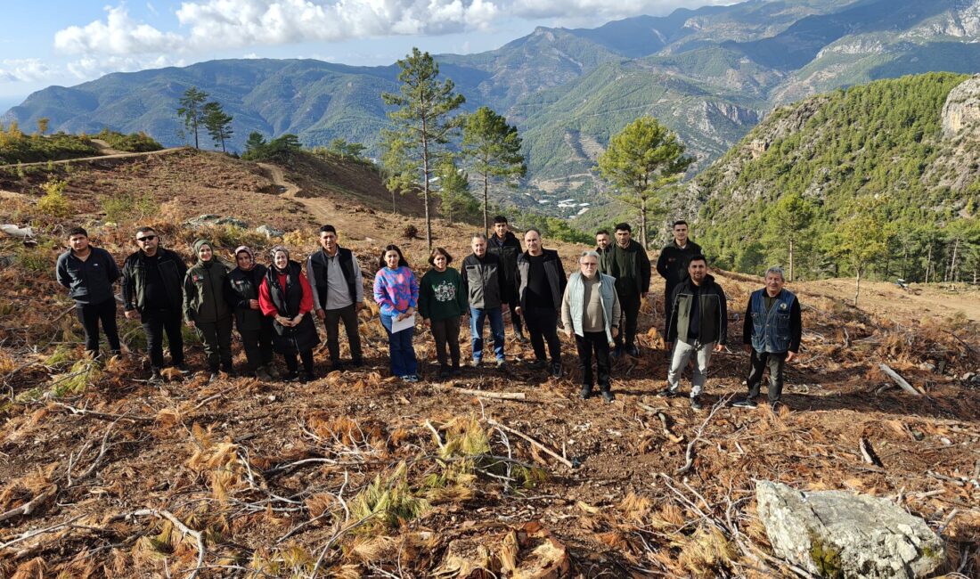 Mersin Orman Bölge Müdürlüğü,