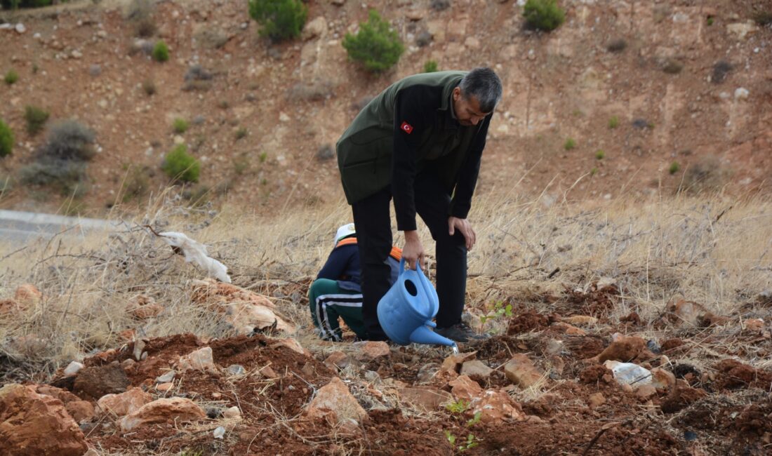 Mersin Orman Bölge Müdürlüğümüze