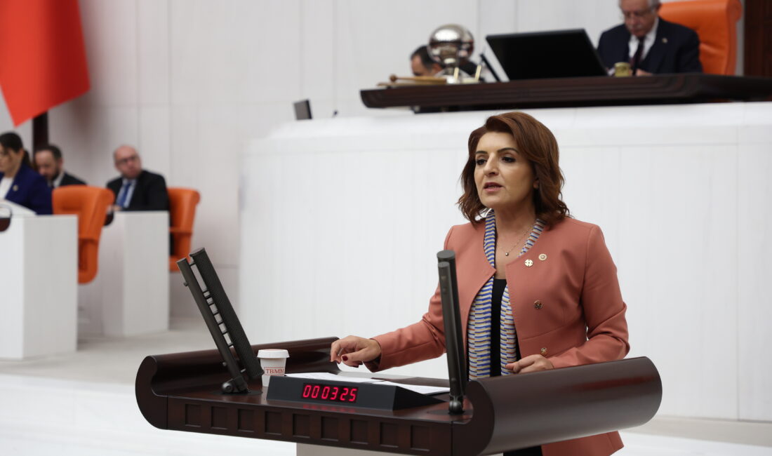 Gülcan Kış: AKP’nin Yönetim Modeli 2019’da Çöktü