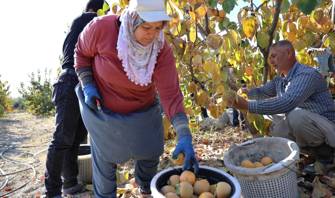 Toroslar Belediye Başkanı Abdurrahman