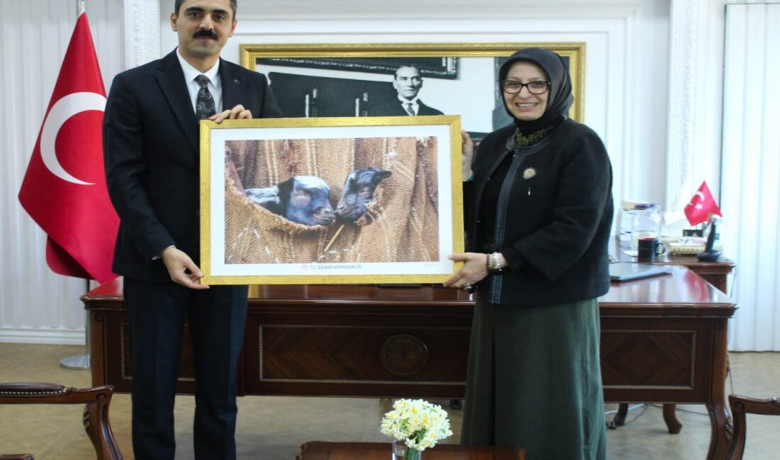 İl Milli Eğitim Müdürü