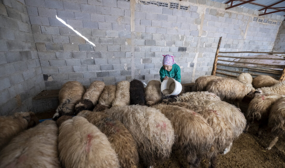 Mersin Büyükşehir Belediyesi’nin; sürdürülebilirlik