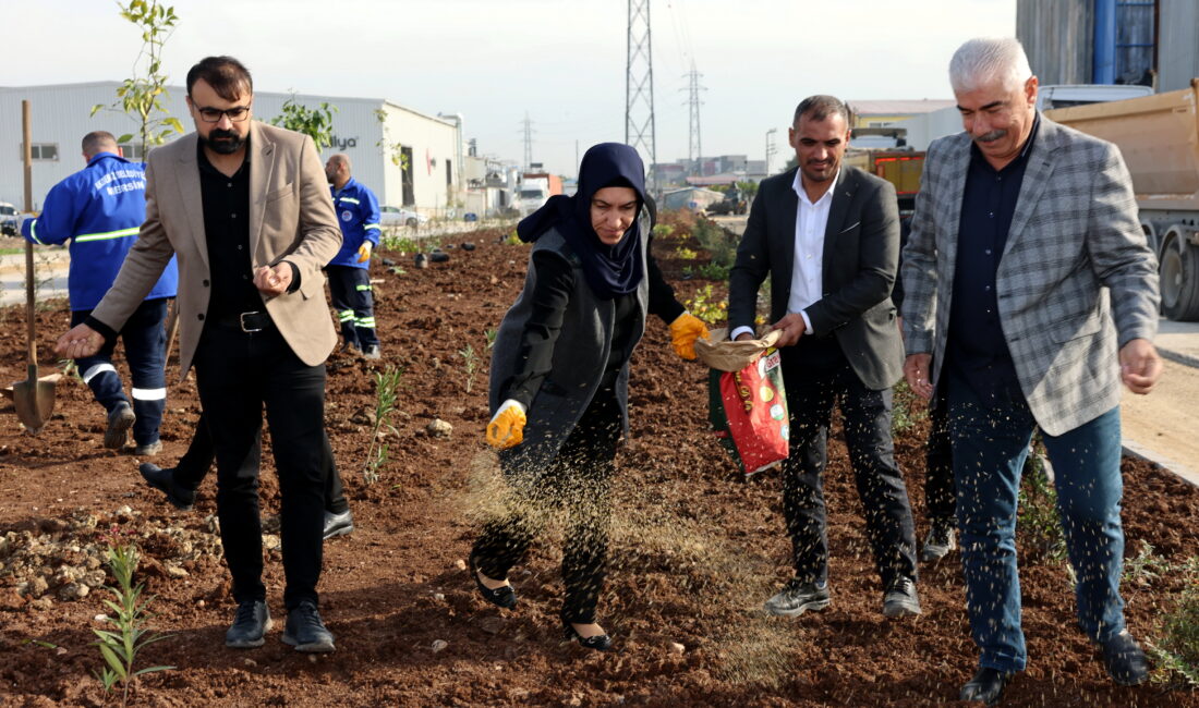 Akdeniz Belediyesi, daha yeşil