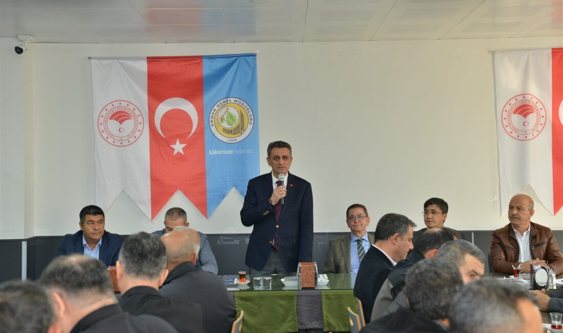 Mersin Orman Bölge Müdürlüğü,