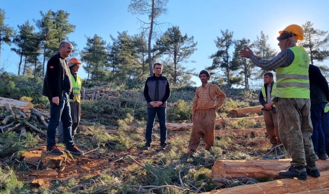 Mersin Orman Bölge Müdürü