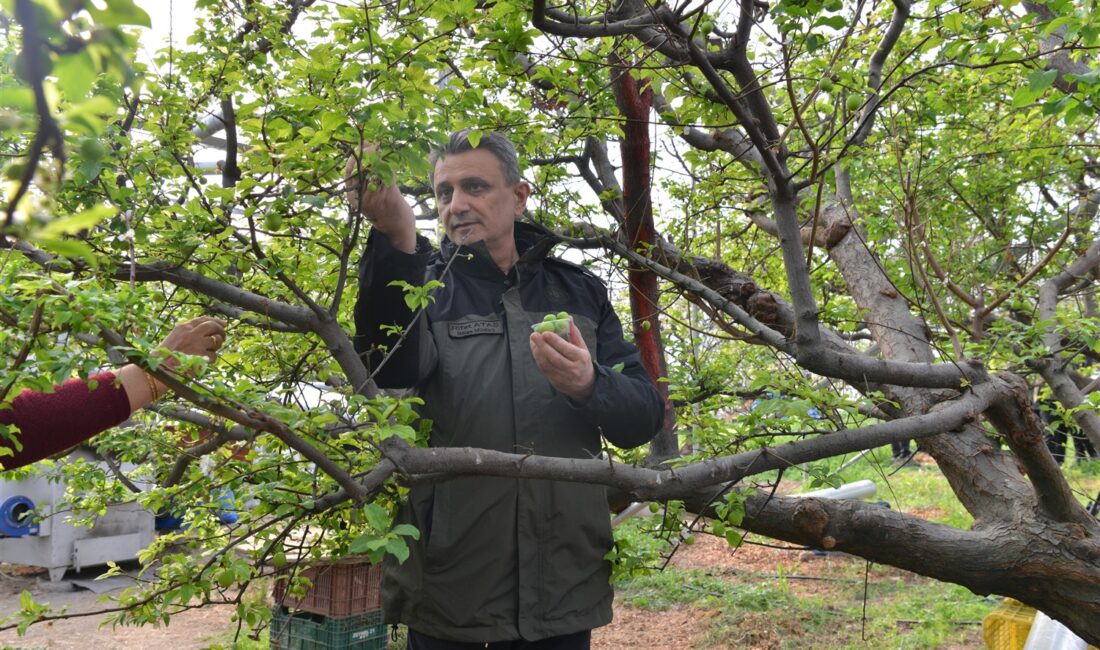 Orman Genel Müdürlüğümüzün ORKÖY