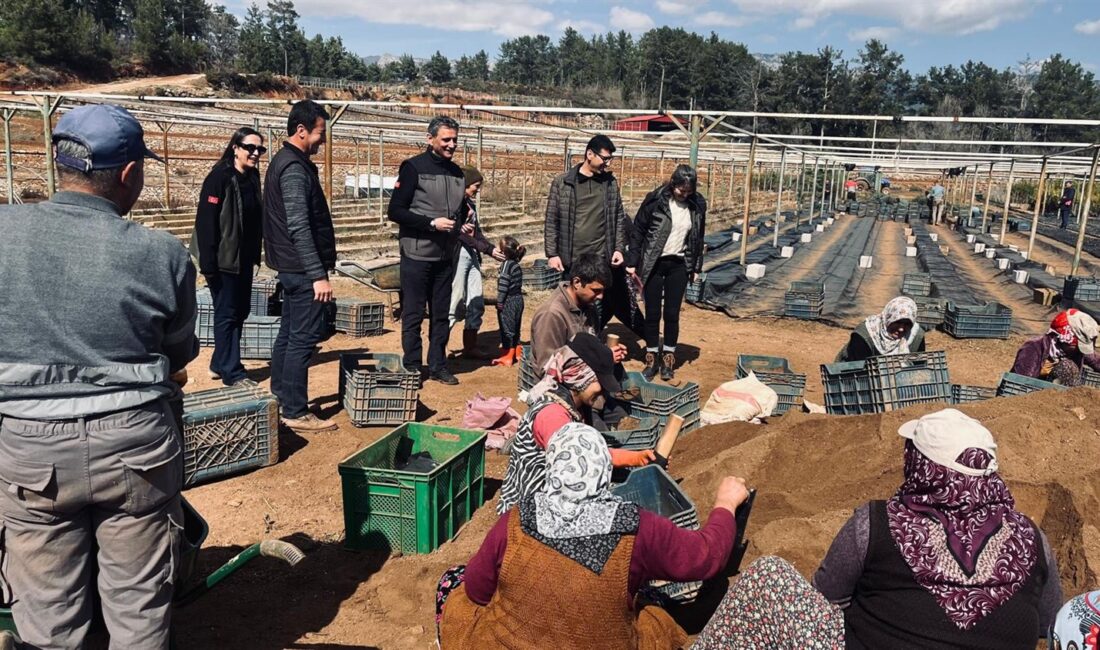 Mersin Orman Bölge Müdürlüğü’müze