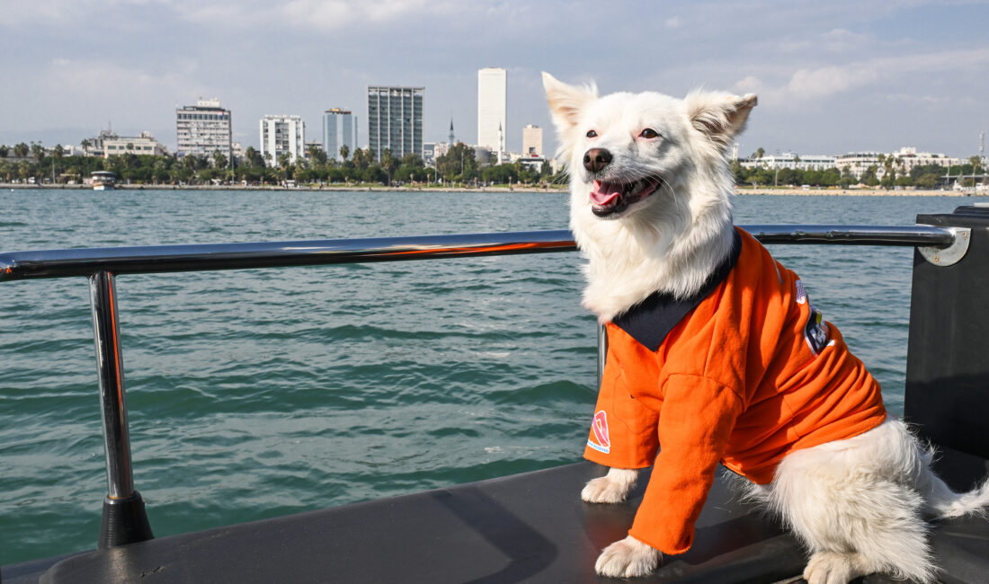 Mersin Büyükşehir Belediyesi Çevre