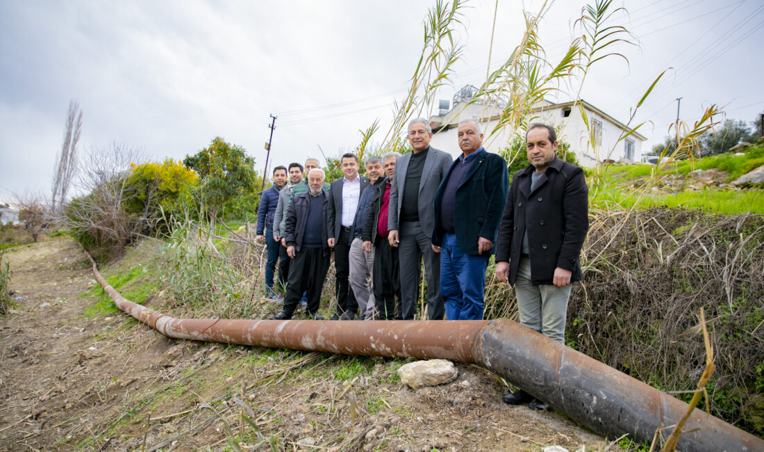 Tarımsal Hizmetler Dairesi Başkanlığı