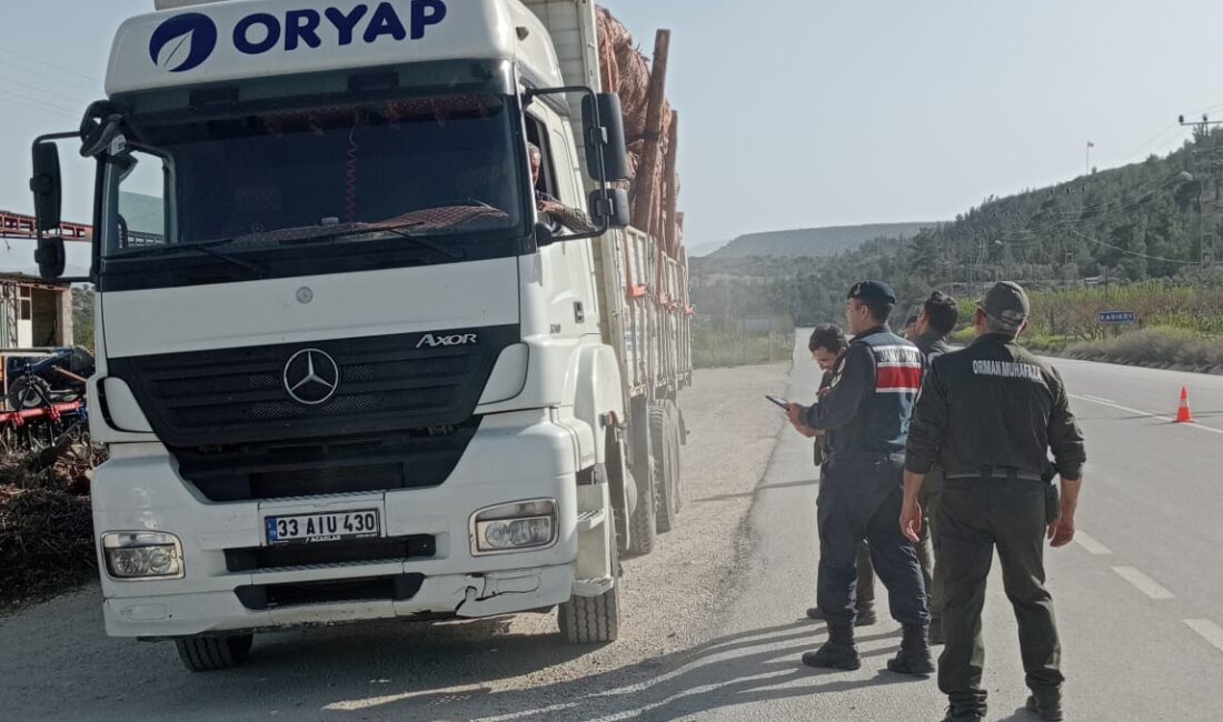 Mersin Orman Bölge Müdürlüğümüze