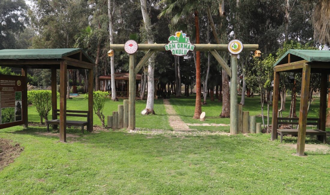 Genel Müdür Yardımız Sayın